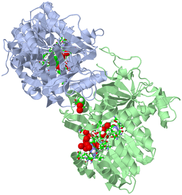 Image Asym./Biol. Unit - sites