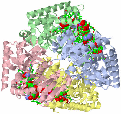 Image Asym./Biol. Unit - sites