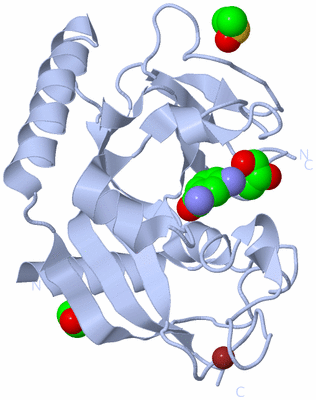 Image Biological Unit 1