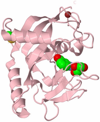 Image Biological Unit 3