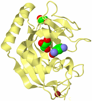 Image Biological Unit 4