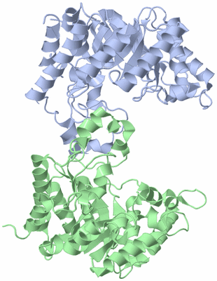 Image Biological Unit 1