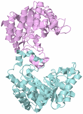 Image Biological Unit 3