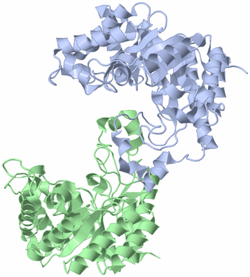 Image Asym./Biol. Unit