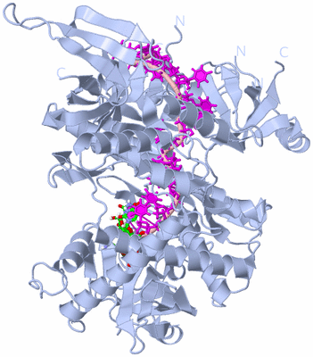 Image Biol. Unit 1 - sites