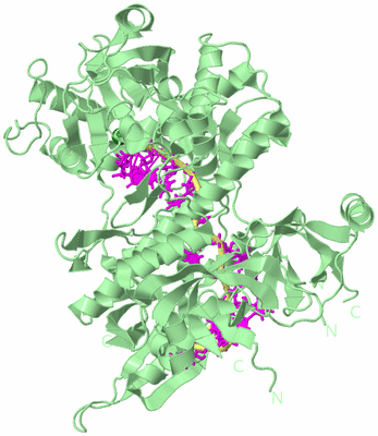 Image Biological Unit 2