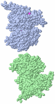 Image Asym. Unit - sites