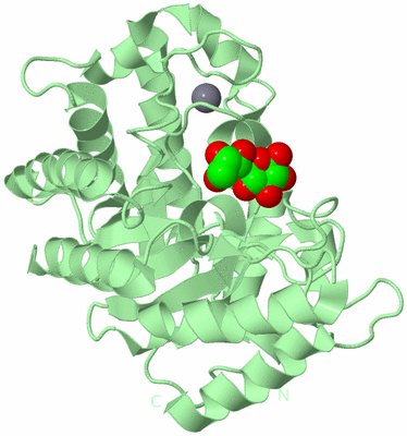 Image Biological Unit 2