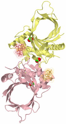 Image Biological Unit 2