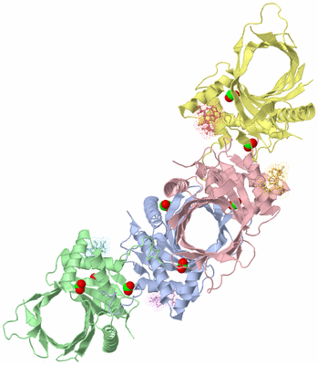 Image Biological Unit 3