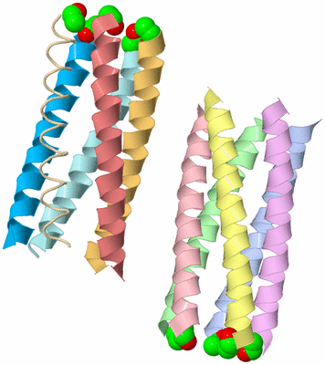 Image Asymmetric Unit