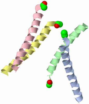 Image Asymmetric Unit