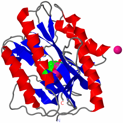 Image Asym./Biol. Unit