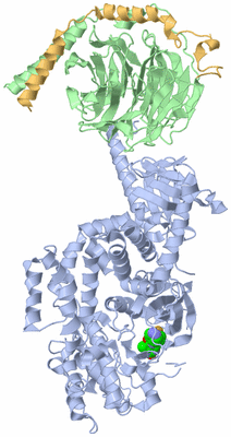 Image Asym./Biol. Unit