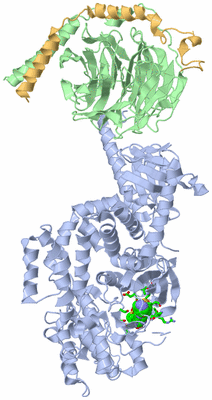 Image Asym./Biol. Unit - sites