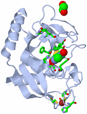 Image Biol. Unit 1 - sites