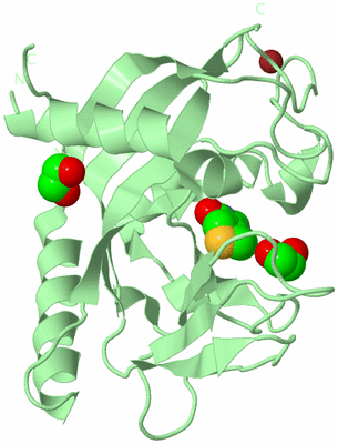 Image Biological Unit 2