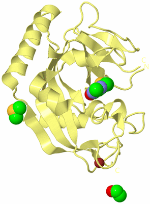 Image Biological Unit 4