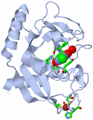 Image Biol. Unit 1 - sites