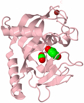 Image Biological Unit 3