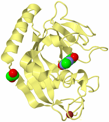 Image Biological Unit 4