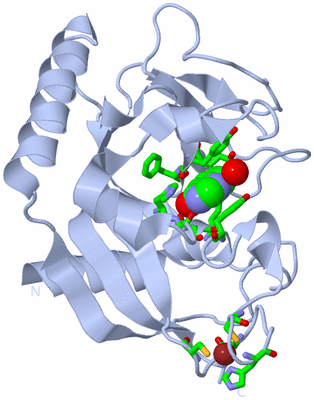 Image Biol. Unit 1 - sites