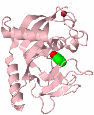 Image Biological Unit 3