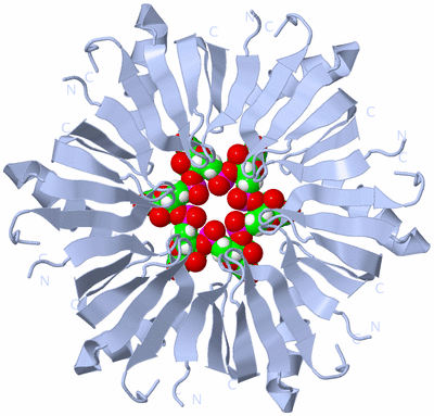 Image Biological Unit 1