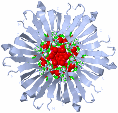 Image Biol. Unit 1 - sites