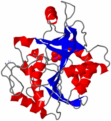 Image Asymmetric Unit
