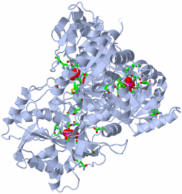 Image Biol. Unit 1 - sites