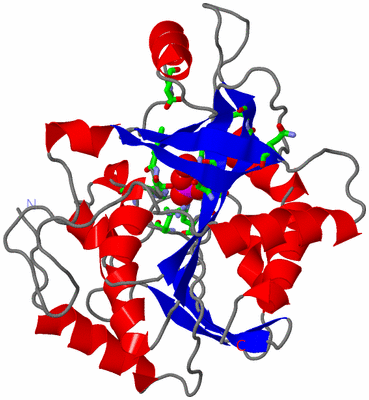Image Asym. Unit - sites