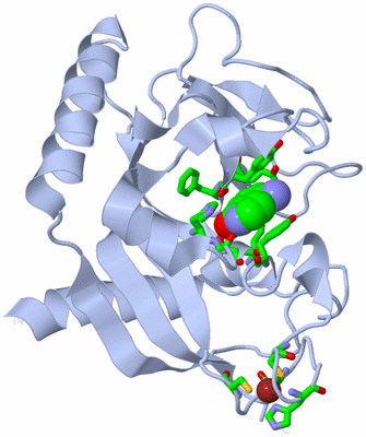 Image Biol. Unit 1 - sites