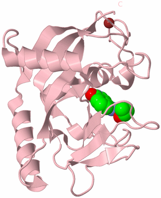 Image Biological Unit 3