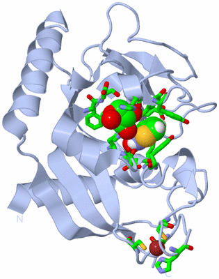 Image Biol. Unit 1 - sites