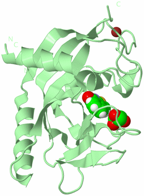 Image Biological Unit 2