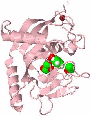 Image Biological Unit 3