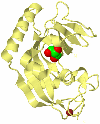 Image Biological Unit 4