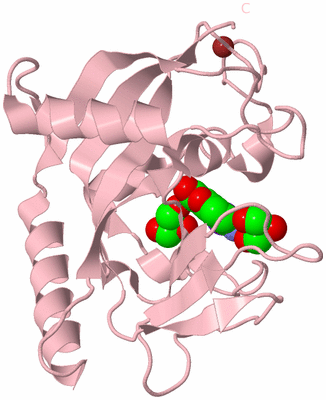 Image Biological Unit 3