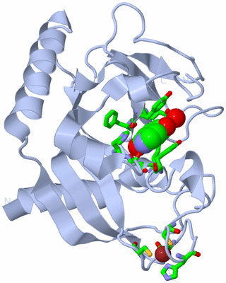 Image Biol. Unit 1 - sites