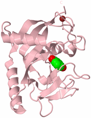 Image Biological Unit 3