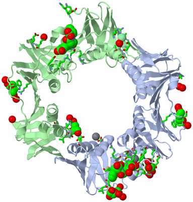 Image Asym./Biol. Unit - sites