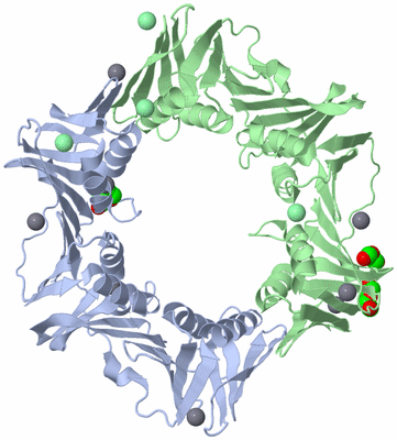 Image Asym./Biol. Unit