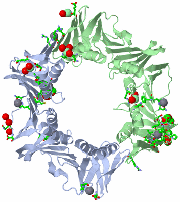 Image Asym./Biol. Unit - sites