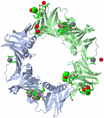 Image Asym./Biol. Unit - sites