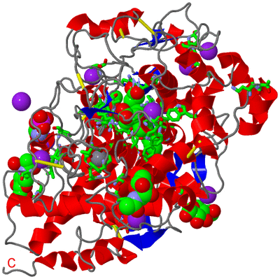 Image Asym./Biol. Unit - sites