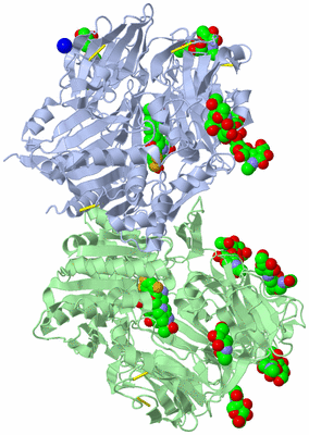 Image Asym./Biol. Unit