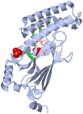 Image Biol. Unit 1 - sites