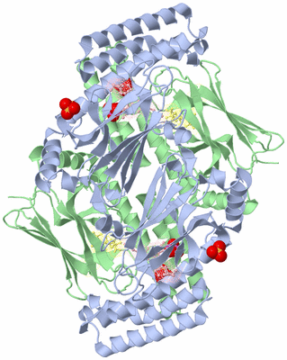 Image Biological Unit 3