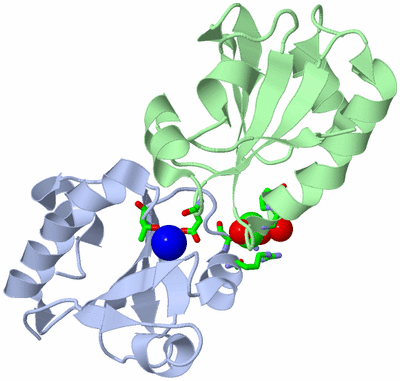 Image Asym./Biol. Unit - sites